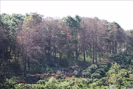 Project strengthens community’s engagement in natural resource management