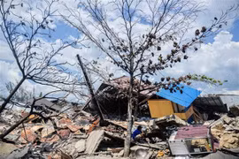Indonesia, Japan agree on disaster mitigation cooperation
