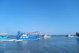 Tien Giang takes urgent solutions to IUU fishing