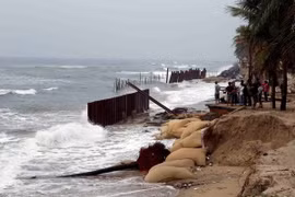 Tra Vinh to build embankments to protect local coast
