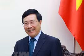 Vietnam spares no efforts to protect, promote human rights: Deputy PM