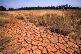 European countries implement climate change projects in Mekong Delta