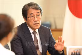 Vietnam, Japan look to make intensive strategic partnership more practical 