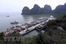 Quang Ninh strives to remain top position in PCI ranking