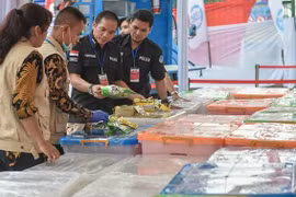 Indonesia destroys over two tonnes of crystal methamphetamine 
