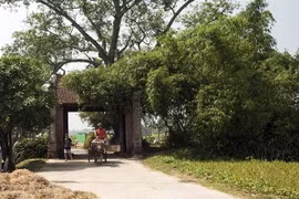 Experts discuss protecting Hanoi’s heritage