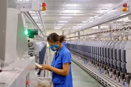 Processing – major contributor to Vietnam’s economy
