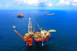 Government focuses on divestment in oil and gas sector