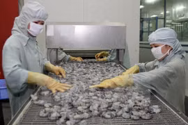 Seafood shipments to EU drop
