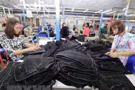 Exports to US need to focus on processed products: experts 