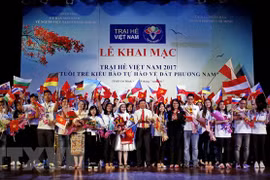 Summer camp marks 15 years of young Vietnamese connections