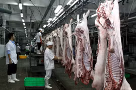 Australian training course helps improve Vietnamese slaughtering techniques