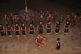 Over 1,000 artisans to join gong cultural festival 