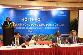 Experts seek solutions to strengthen connectivity in Mekong Delta