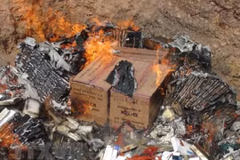 Lang Son destroys counterfeit goods 