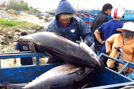  Drastic solutions taken to address EC’s warning of IUU fishing