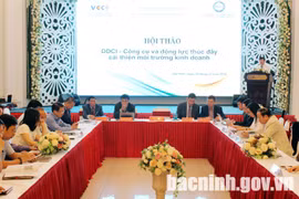 DDCI - a tool to promote business climate improvement 