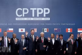 Action programme needed to fully tap CPTPP: experts 