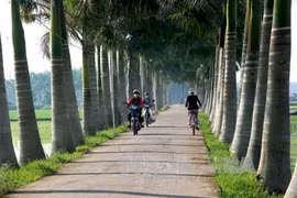 Long An to invest 484 million USD in new-style rural building