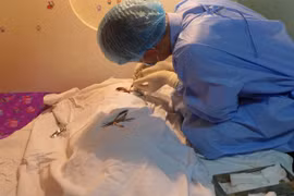 Seven-year-old donates cornea, thousands touched