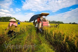 Tra Vinh works to improve climate change response