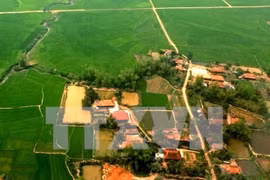UK shares experience in land registration with Vietnam