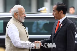 Indonesia, India upgrade ties to comprehensive strategic partnership