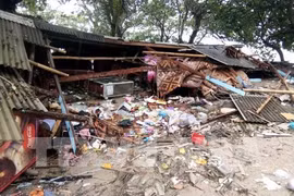 No Vietnamese victims reported in Indonesia tsunami: embassy