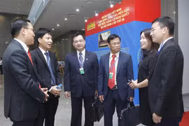 Experience in attracting resources from foreign NGOs highlighted