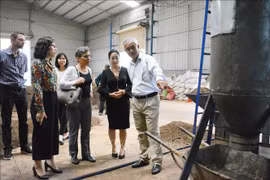 Pyrolysis technology improves coffee quality