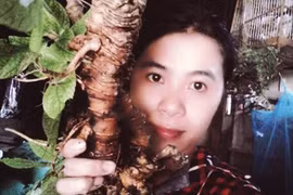 Ginseng queen grows over 600 medicinal plants 