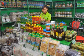 Vietnamese Goods Fair kicks off in Hanoi 
