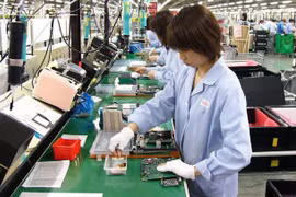 Vietnam’s exports to India rise sharply 