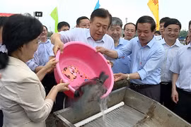 Vietnam, China jointly release young fish into Tonkin Gulf