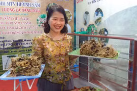 Virtual portal on Ngoc Linh ginseng tourism area launched