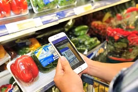 Hanoi to use QR code to trace fruit origins