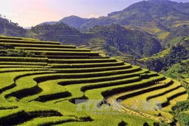Muong Lo Tourism-Culture Week to resume on October 12-14
