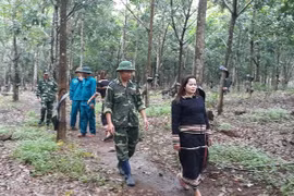 Conference calls for more foreign aid in Gia Lai province