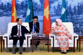 Vietnam treasures ties with African nations: President