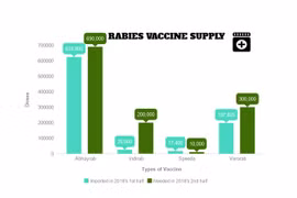 Vietnam needs 1.2 million doses of rabies vaccine