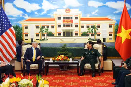 Vietnam, US vow to enhance cooperation in dioxin treatment