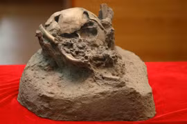 More prehistoric remains found in Krong No volcanic caves