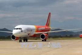 Seven flights cancelled due to bird strike during holiday