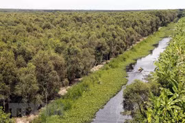 Forest database significant to national forestry strategy