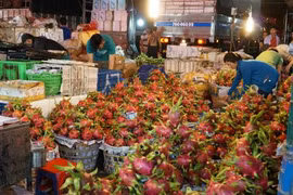 Vietnam, Canada boost trade ties