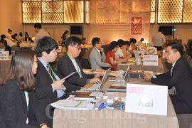 Japanese consumer goods producers explore Vietnamese market