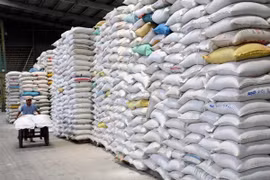 Rice export sees huge opportunities from traditional markets 