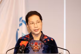 Vietnam calls for stronger cooperation to solve migration crises