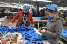 Vietnam, EU likely to sign FTA soon