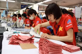 Vietnam firms advised to invest in Indian garment market